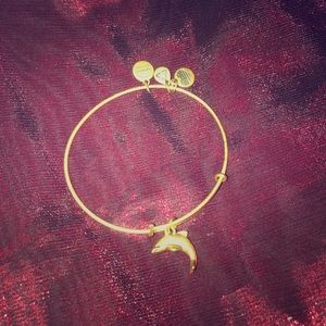 Dolphin Alex and Ani Bracelet